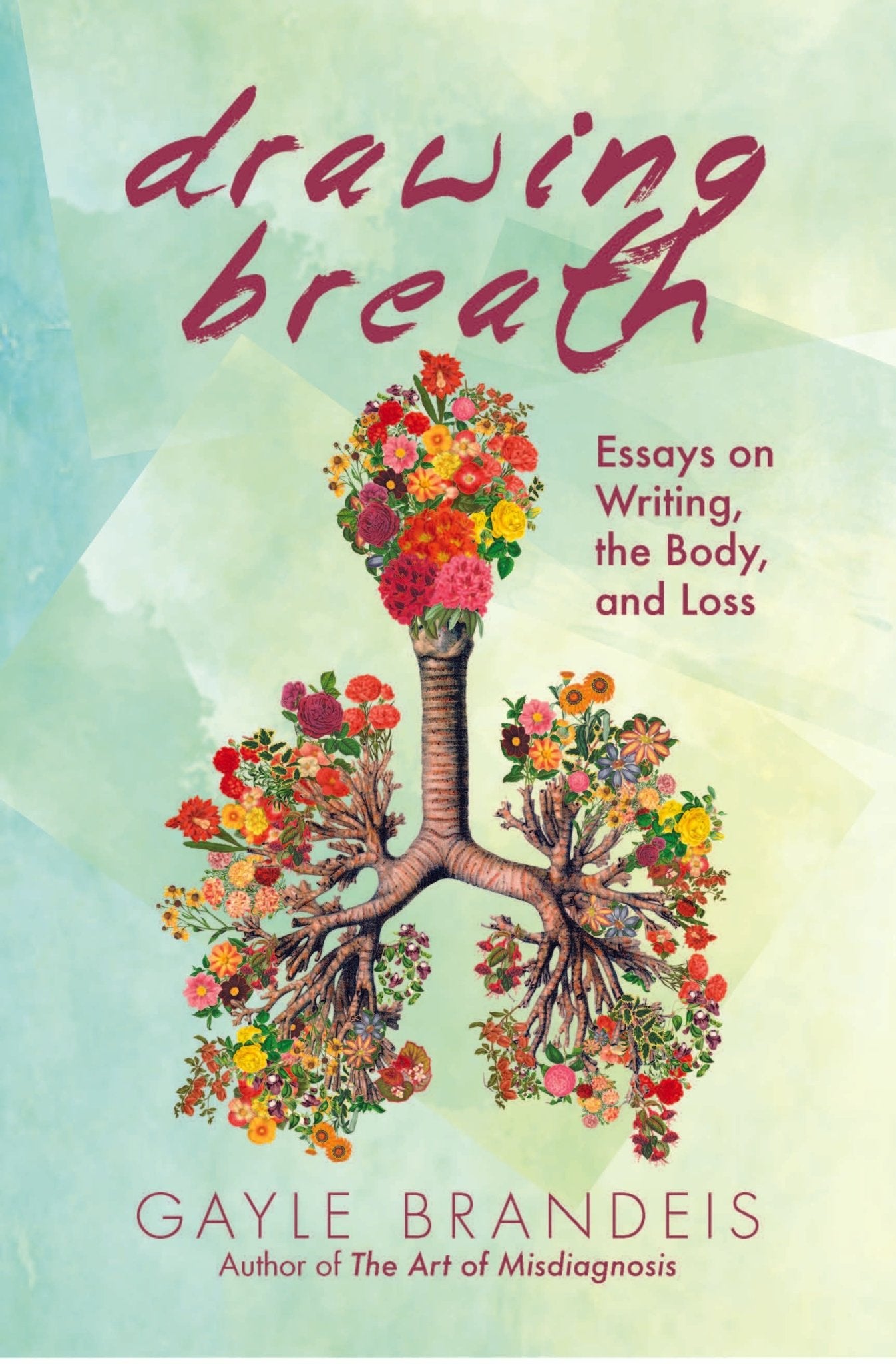 Drawing Breath: Essays on Writing, the Body, and Loss - Gayle Brandeis